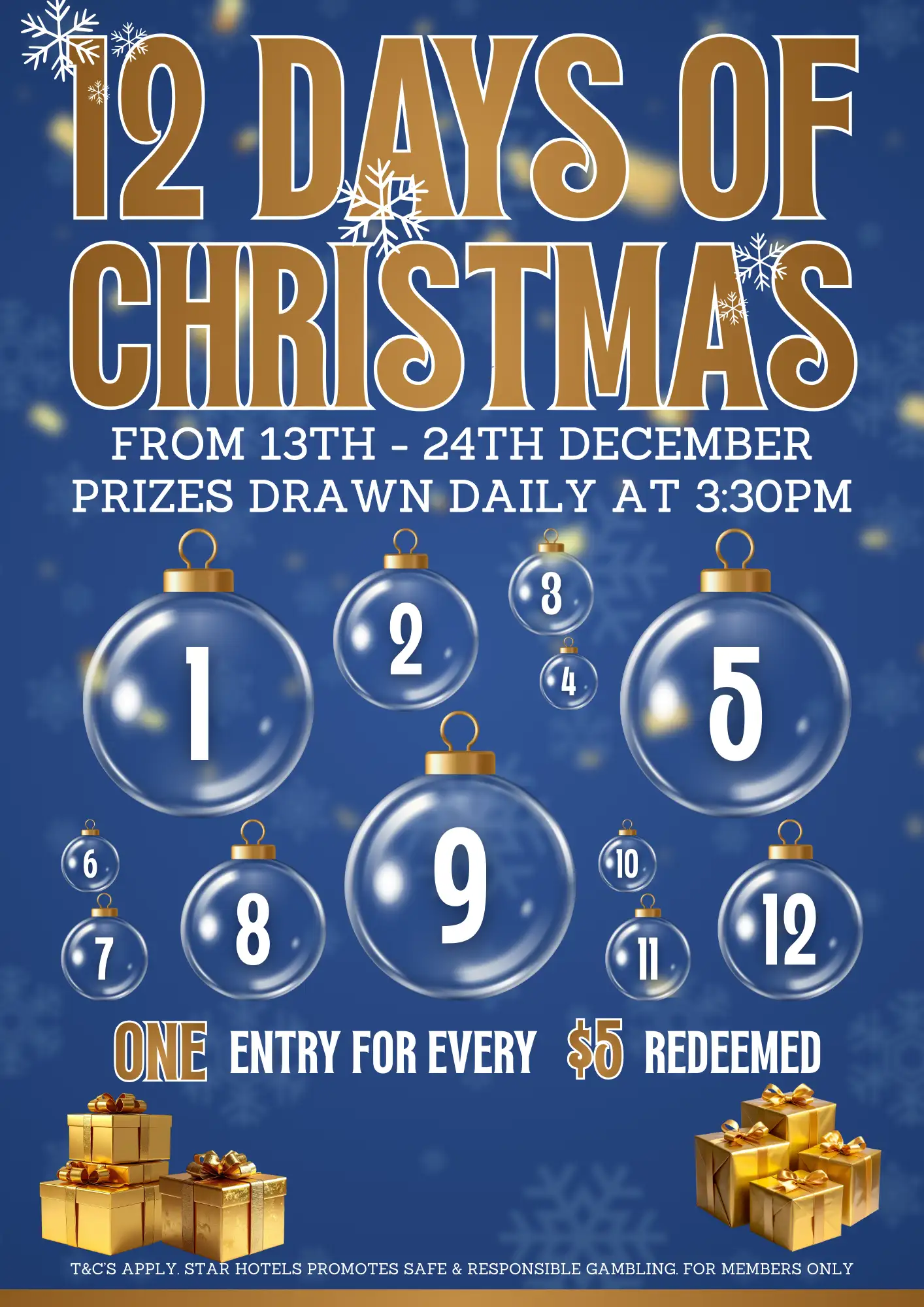 12 Days of Christmas